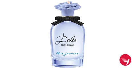 dolce gabbana light blue cena jasmin|dolce and gabbana cena.